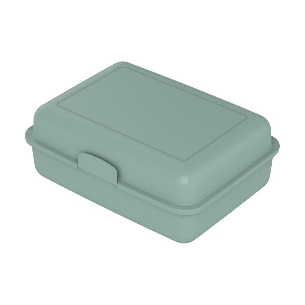 Lunchbox "School-Box" groß - Nachhaltige Brotzeitbox aus Zuckerrohr - Brotdose ideal für Kinder und Erwachsene - minze