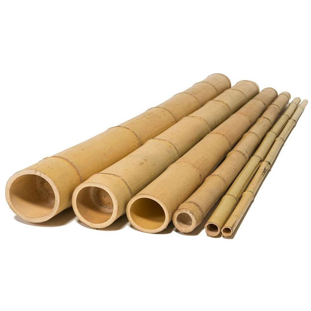 Bamboo Tyče průměr 8-10 cm, délka 80 cm Obrázek produktu 
