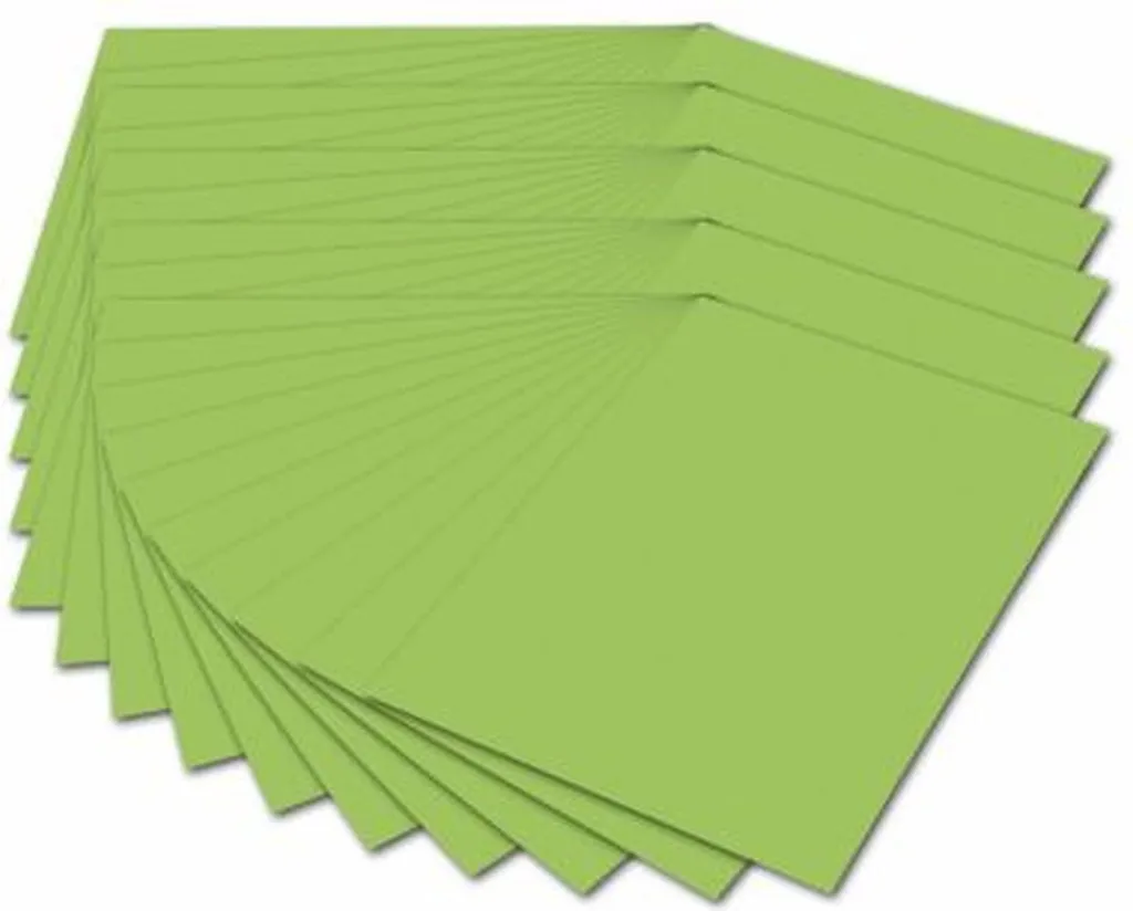 Risma 50 Fogli Cartoncino Folia A4 Verde Chiaro 300g - Uso Scolastico
