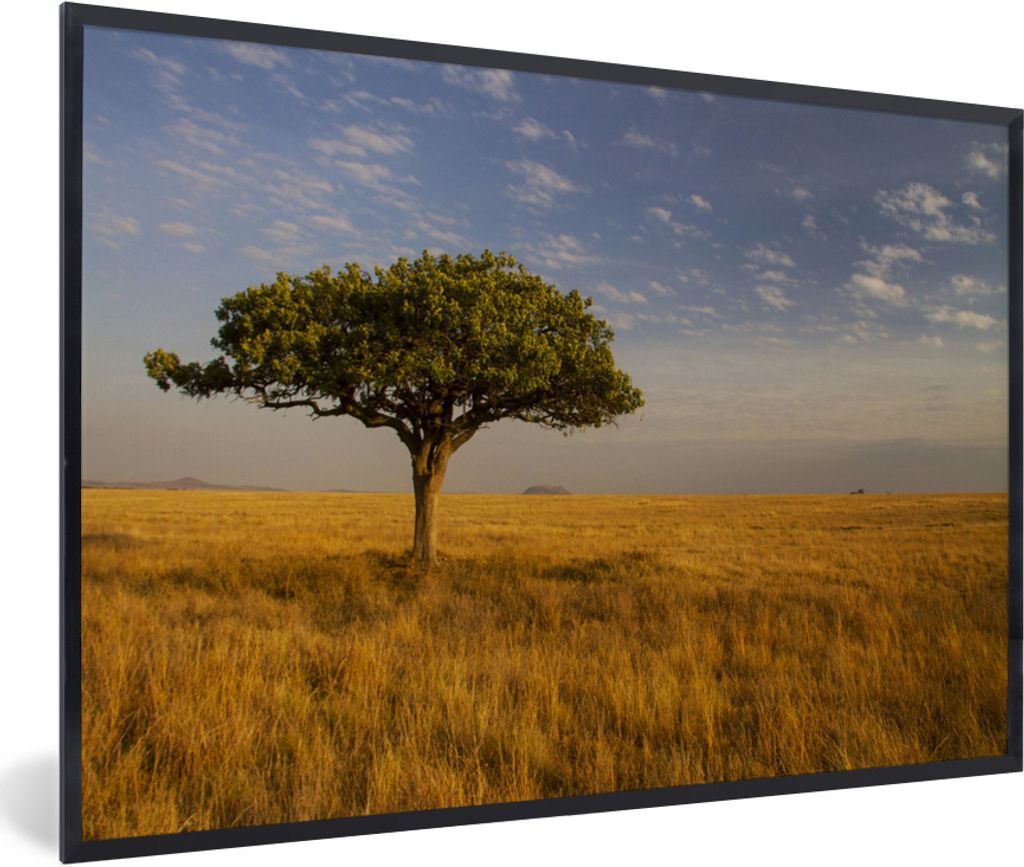MuchoWow Gerahmtes Poster Die Savanne des Serengeti-Nationalparks in Tansania 90x60 cm - Poster mit Schwarzem Bilderrahmen Wandposter Rahmen Foto...