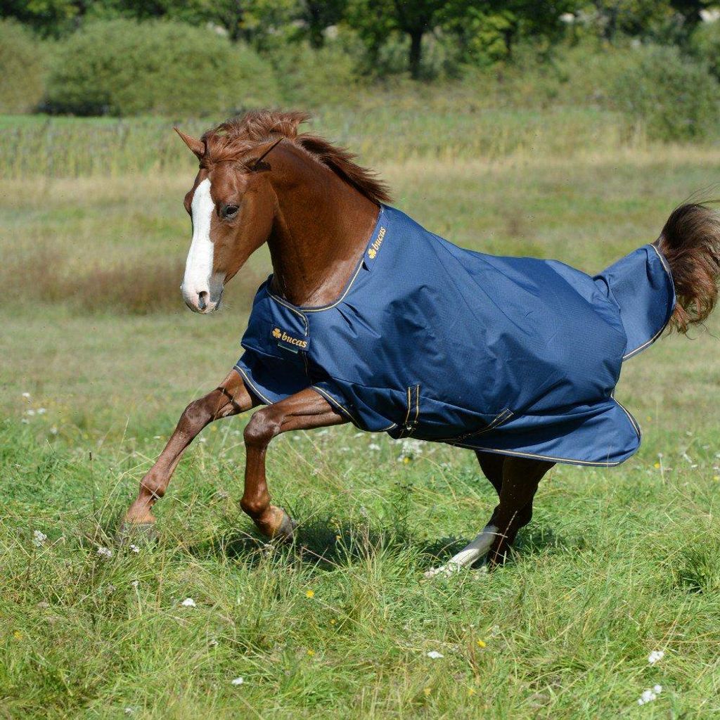 BUCAS Irish Turnout 50 g navy gold Winterdecke, Regendecke , Buc17_Gr.:125cm