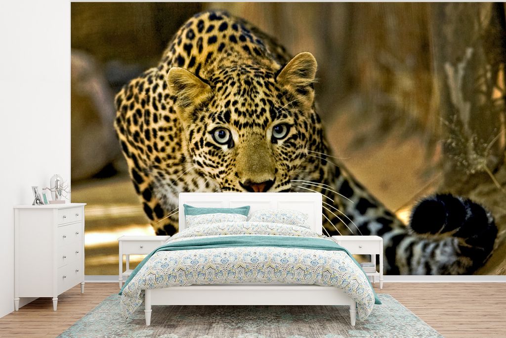 MuchoWow Fototapete für Wohnzimmer oder Schlafzimmer Wandtapete Vinyl Motivtapete Leopard - Raubtier - Porträt - 375x280 cm - Schlafzimmer tapete