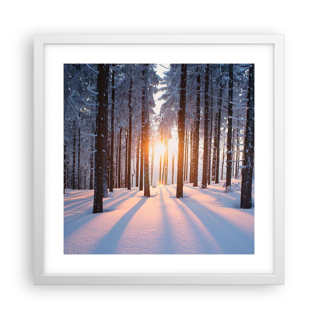 Gerahmtes Poster - Weißer Rahmen - Wald Winter Schnee - 40x40 cm - Wand Bild - Wanddeko - Wandbilder - Kunstposter - Wandposter - Bilderrahmen - B...