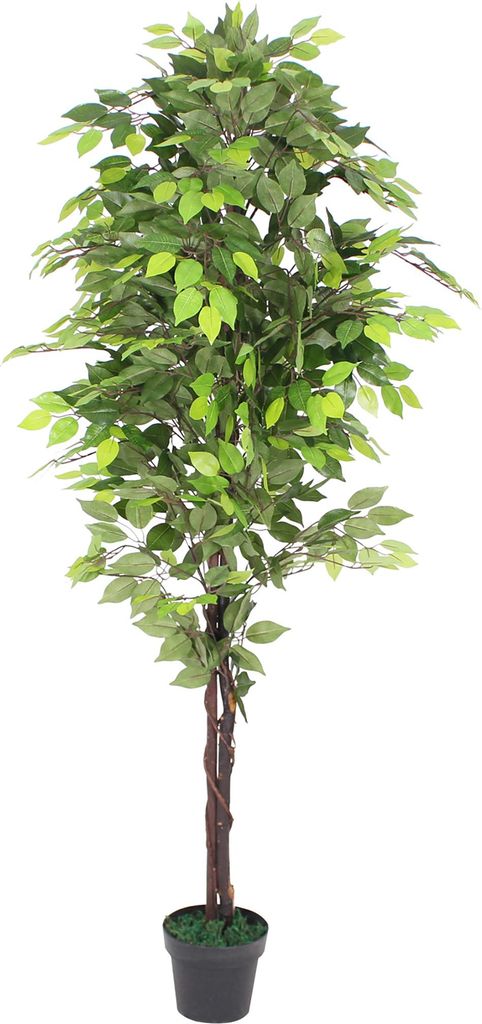 Kunstpflanze Künstliche Pflanze Benjamin Ficus Künstlich im Topf Pflanzen Zimmerpflanze mit Echtholz 180 cm wie Echt Deko Innendekoration 180 cm ...