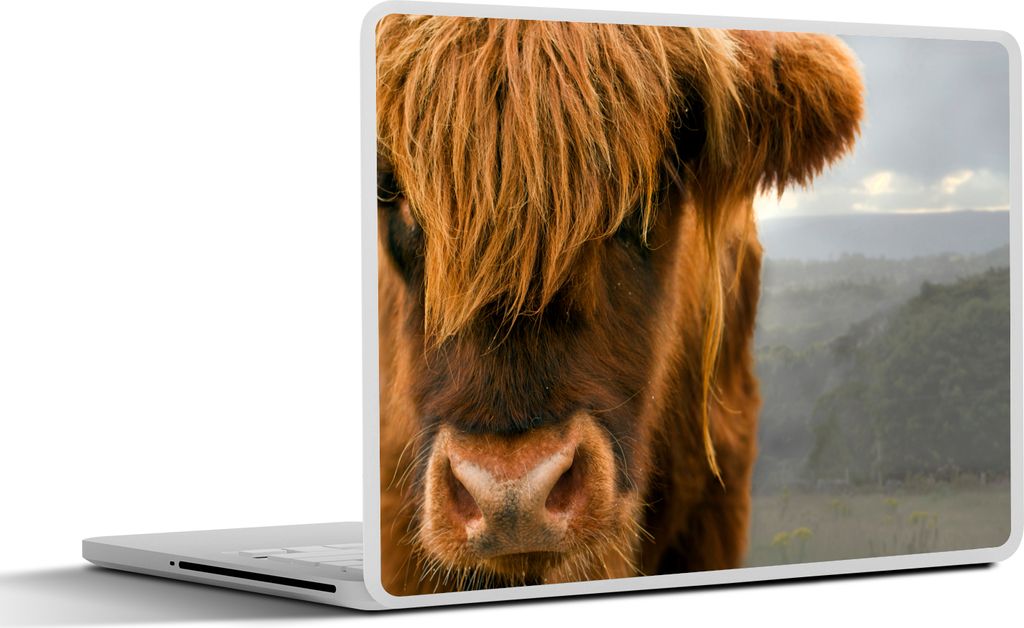 MuchoWow Laptop Aufkleber Sticker Cover Schottisches Hochlandrind - Natur - Porträt 31x22.5 cm - Laptop-Deko