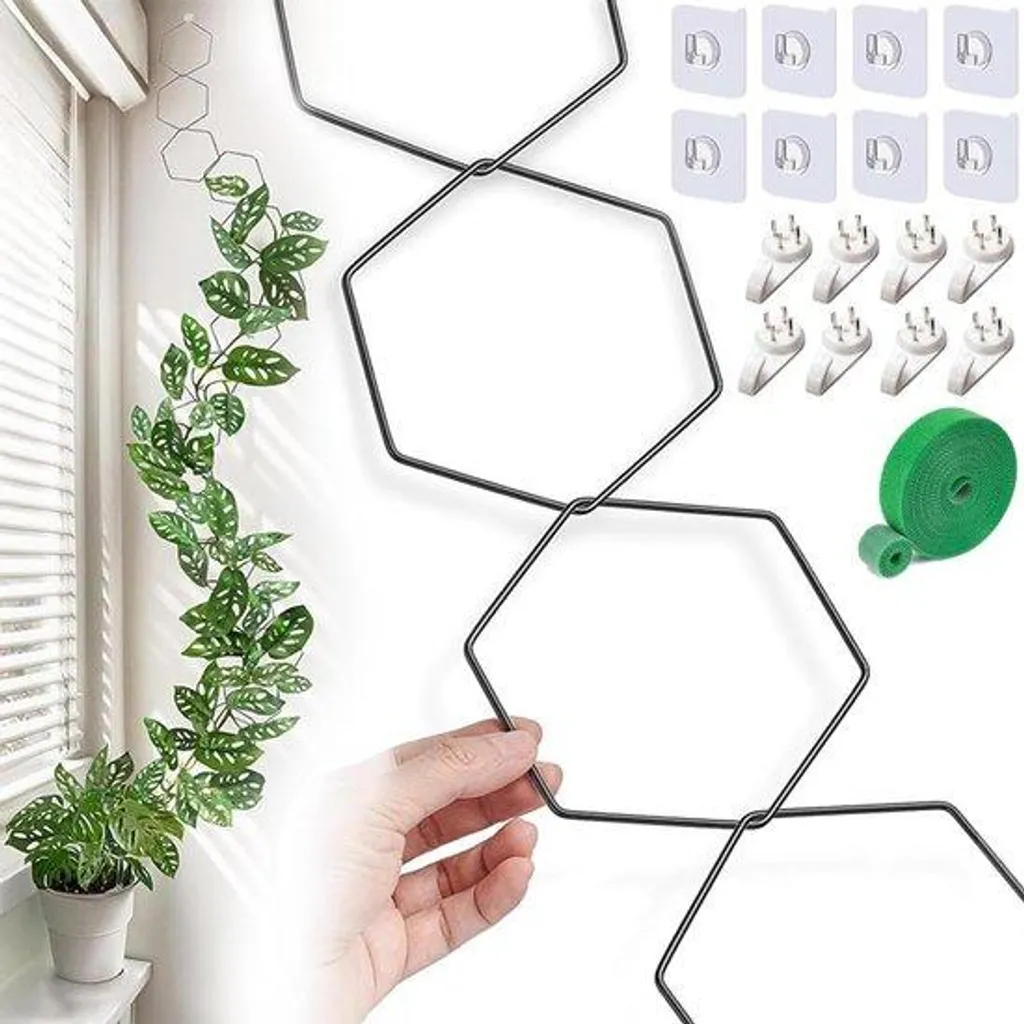 Guide de croissance pour plantes grimpantes, lot de 20 avec rubans