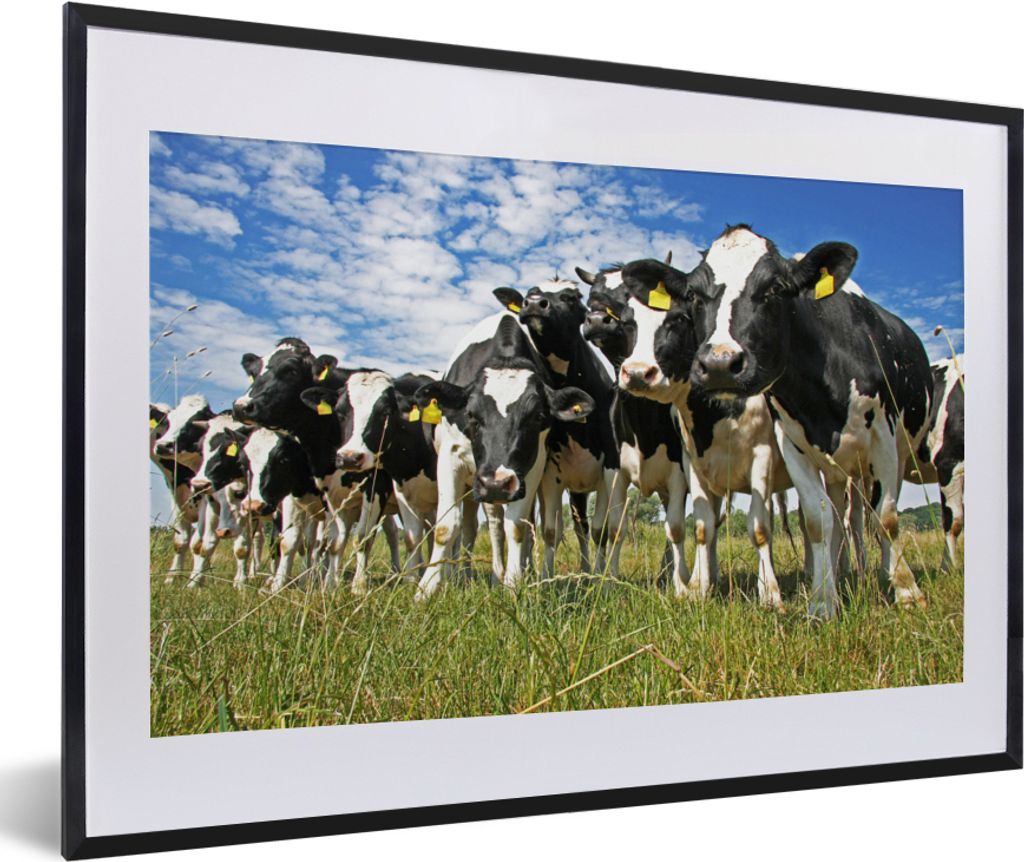 MuchoWow Gerahmtes Poster Kühe - Gras - Wiese - Tiere 60x40 cm - Poster mit Schwarzem Bilderrahmen Wandposter Rahmen Foto Bilder - Schlafzimmer ...