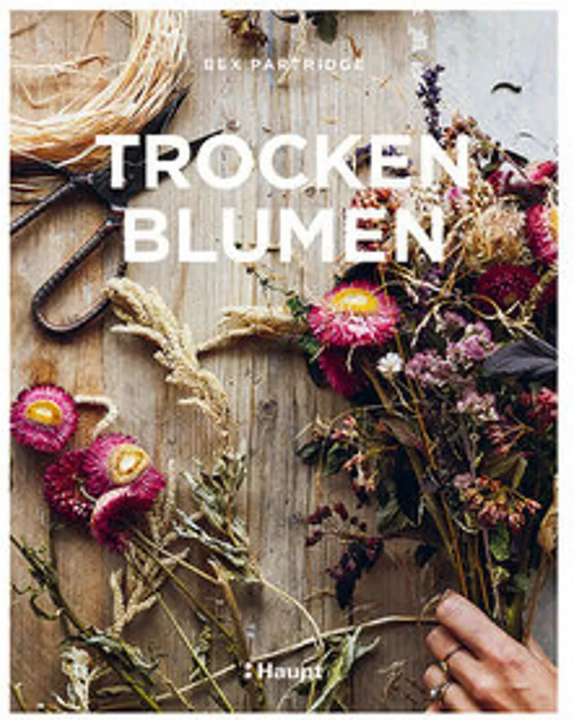 Bouquet de fleurs séchées décoratives style bohème pour vase et maison