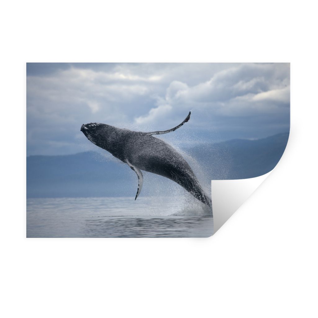 MuchoWow Wandtattoo Wandsticker Wandaufkleber Wal, der aus dem Wasser springt 30x20 cm Selbstklebend und Repositionierbar - Wierderverwendbar - S...
