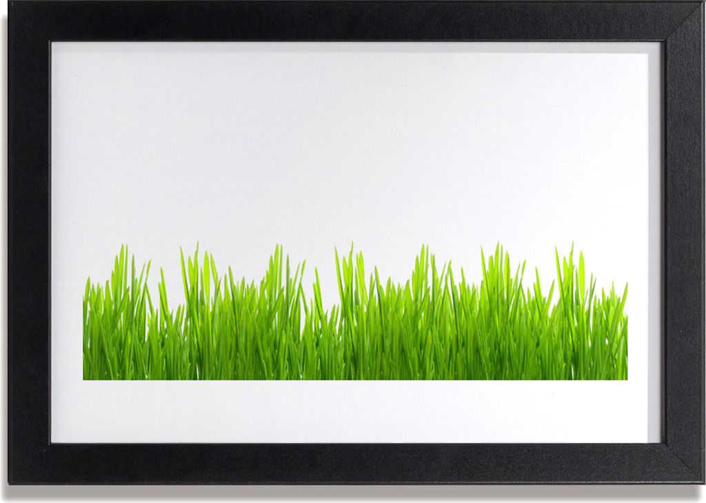 Bild 30x20 MDF-Rahmen Wandkunst Gras Natur Pflanze