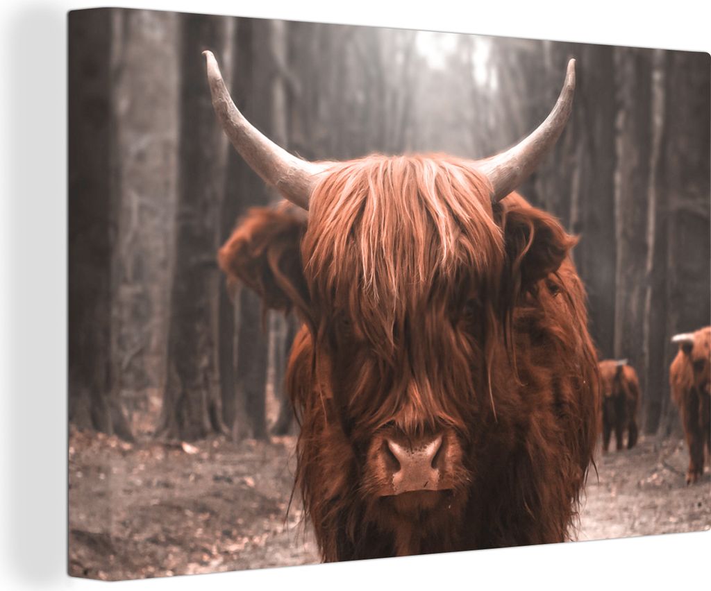 OneMillionCanvasses - Leinwandbilder - 150x100 cm, Schottisches Hochlandrind - Wald - Kuh - Tiere - Natur, Wandbilder Kunstdruck Wanddekoration -...