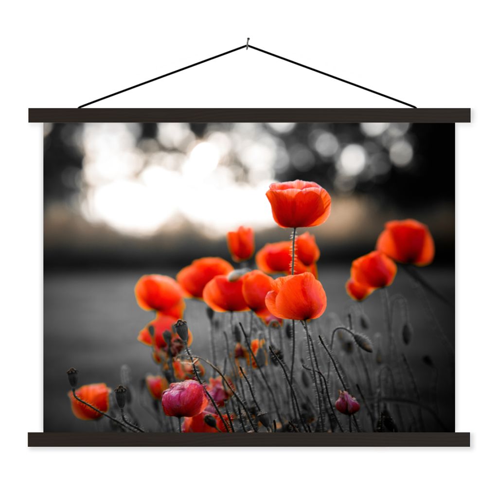 MuchoWow Textilposter Rote Mohnblumen vor schwarzem und weißem Hintergrund 150x113 cm mit schwarzem Rahmen - Wohnzimmer