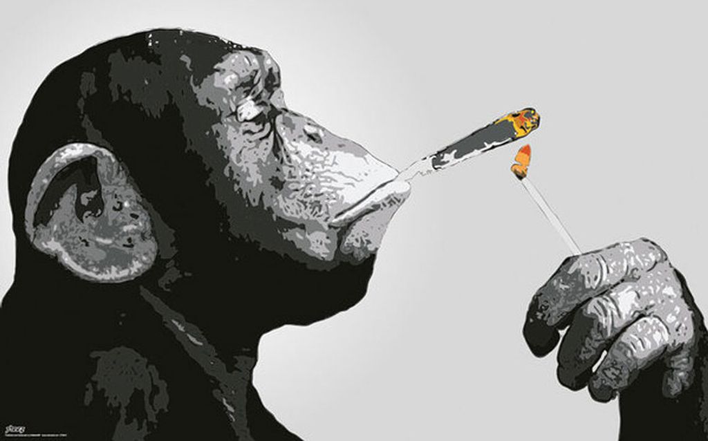 Steez - Poster - Smoking