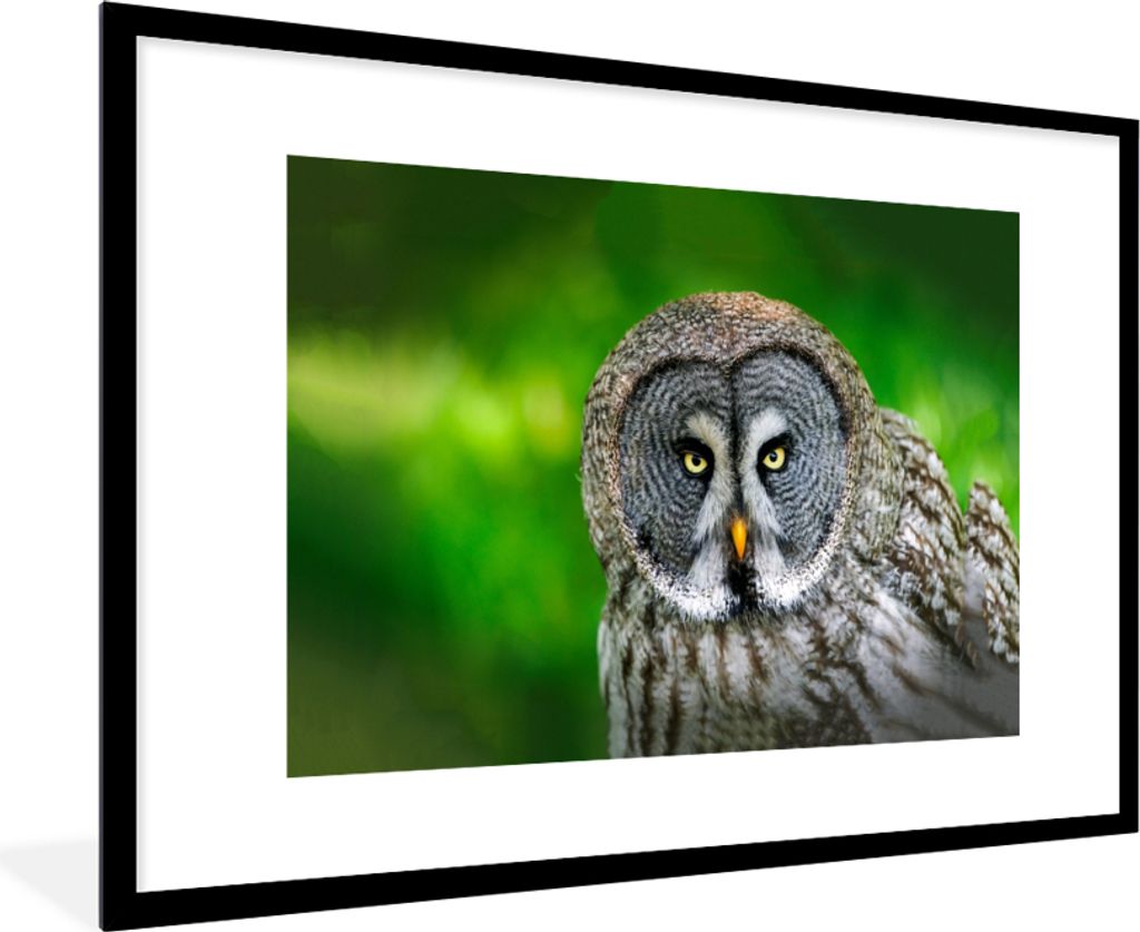 MuchoWow Gerahmtes Poster Vogel - Eule - Tiere - Braun - Porträt 90x60 cm - Poster mit Schwarzem Bilderrahmen Wandposter Rahmen Foto Bilder - Wa...