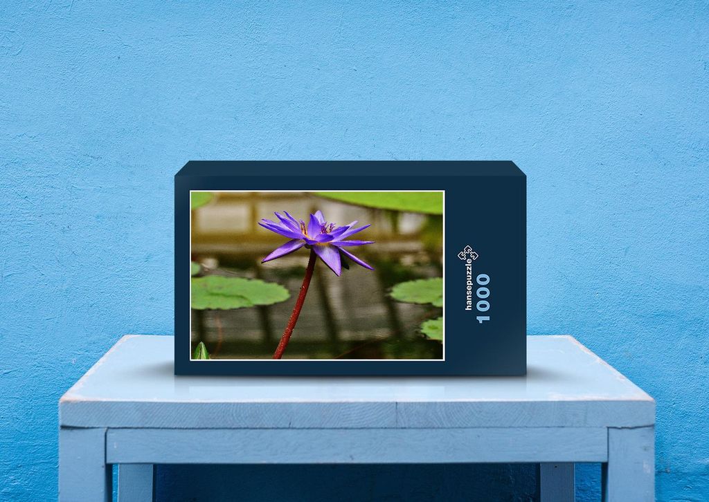 hansepuzzle 22468 - Seerose Puzzle, 1000 Teile, Natur, 60,0 x 46,0cm mit hochwertiger Aufbewahrung, Kartonbox und wiederverschließbarem Beutel