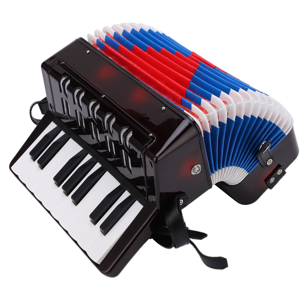Akordeon, hudební piano, klávesy, hračka, rytmický trénink, Obrázek produktu 6