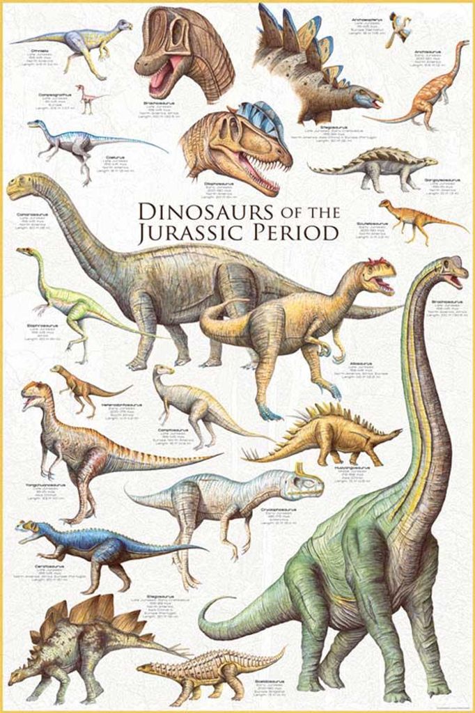 Poster - Educational - Éducation - Dinosaures - Jurassic Image du produit 