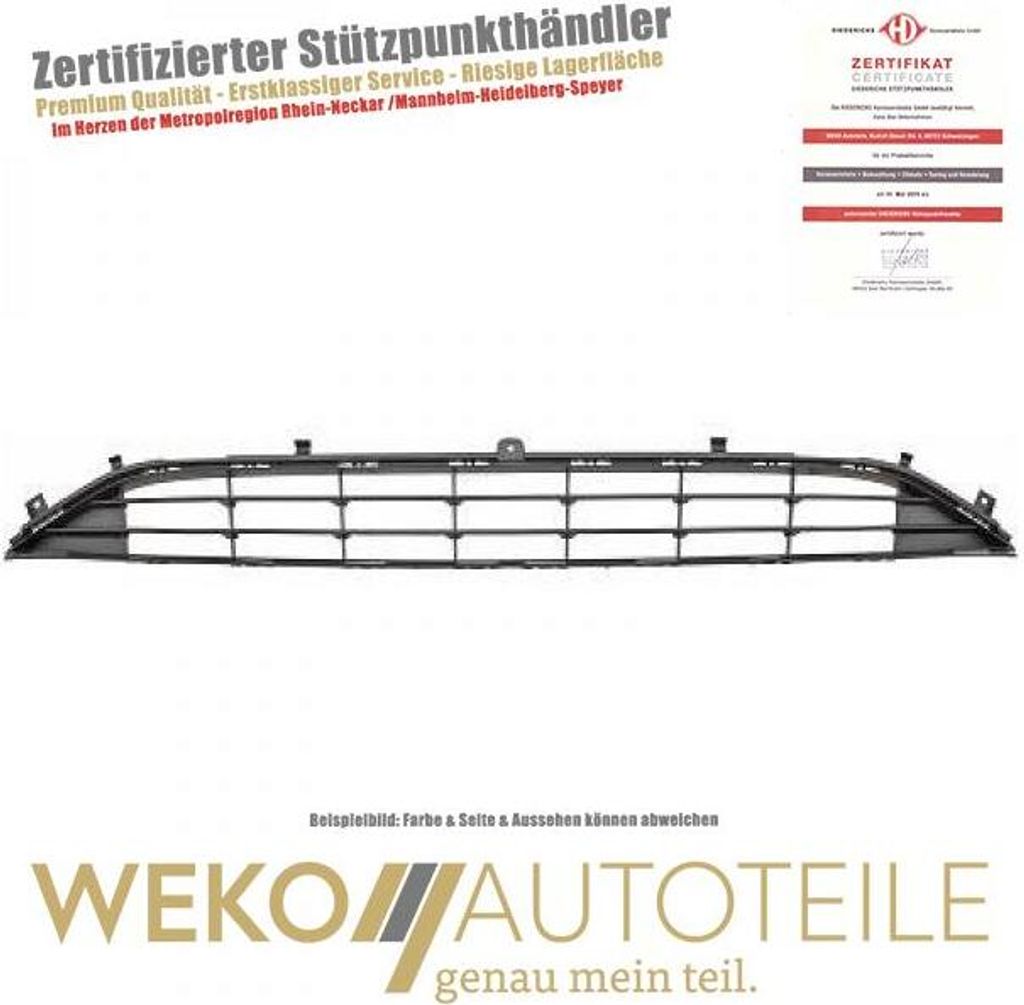 Lüftungsgitter Stoßstange DIEDERICHS 1407045 für FORD