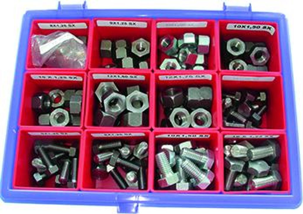 Set aus 120 Schrauben und Muttern für Winkel- und Flexibleranlagen. Sortiment mit 12 Referenzen (und 10 Stücke)