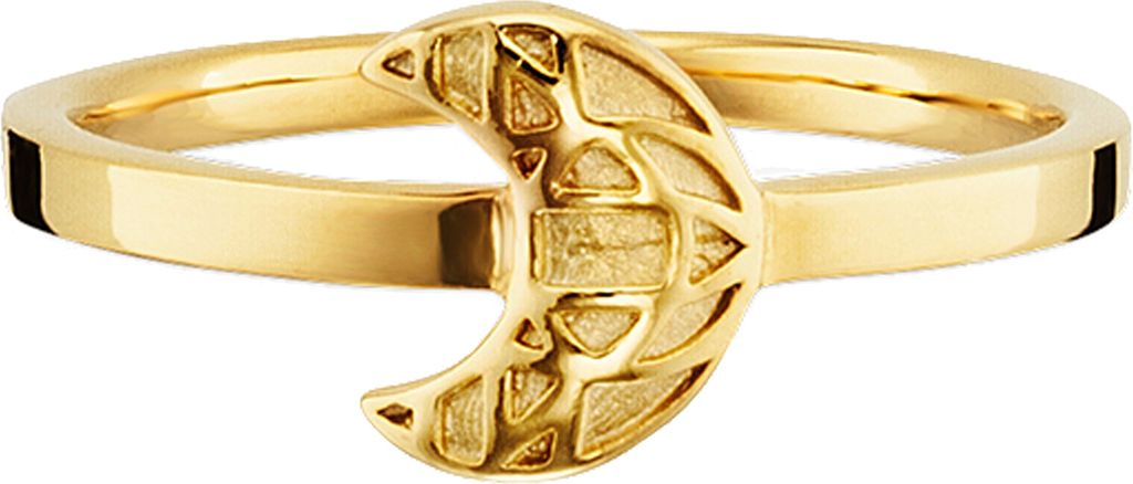 cai Ring 925/- Sterling Silber gelb 050 (15,9) ohne 132270510