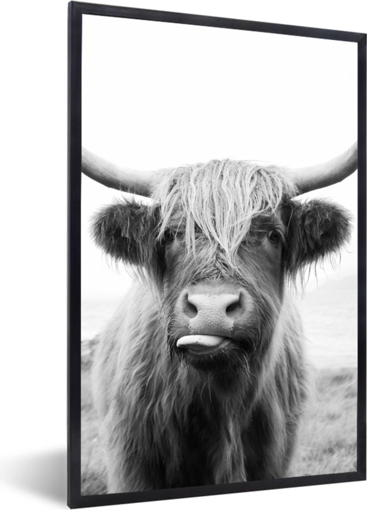 MuchoWow Gerahmtes Poster Tiere - Schottischer Highlander - Kuh - Schwarz - Weiß 60x90 cm - Poster mit Schwarzem Bilderrahmen Wandposter Rahmen ...