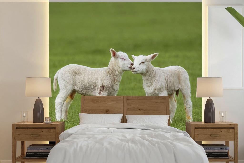 MuchoWow Fototapete für Wohnzimmer oder Schlafzimmer Wandtapete Vinyl Motivtapete Schaf - Lamm - Bauernhof - 300x300 cm - Wanddekoration