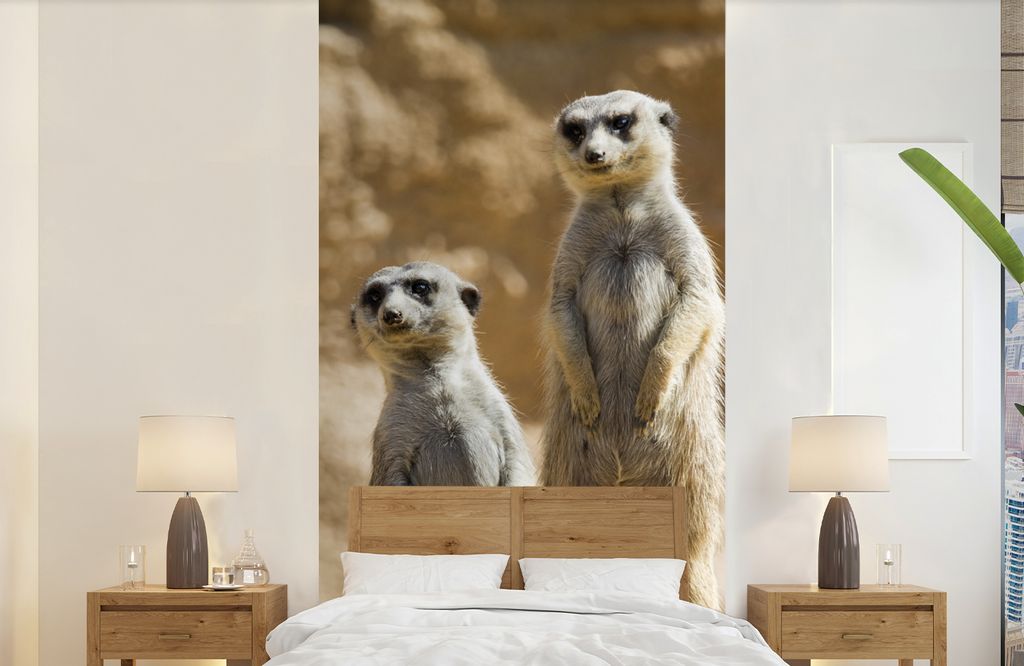 MuchoWow Fototapete für Wohnzimmer oder Schlafzimmer Wandtapete Vinyl Motivtapete Felsen - Erdmännchen - Tiere - 120x240 cm - Hintergrundbild