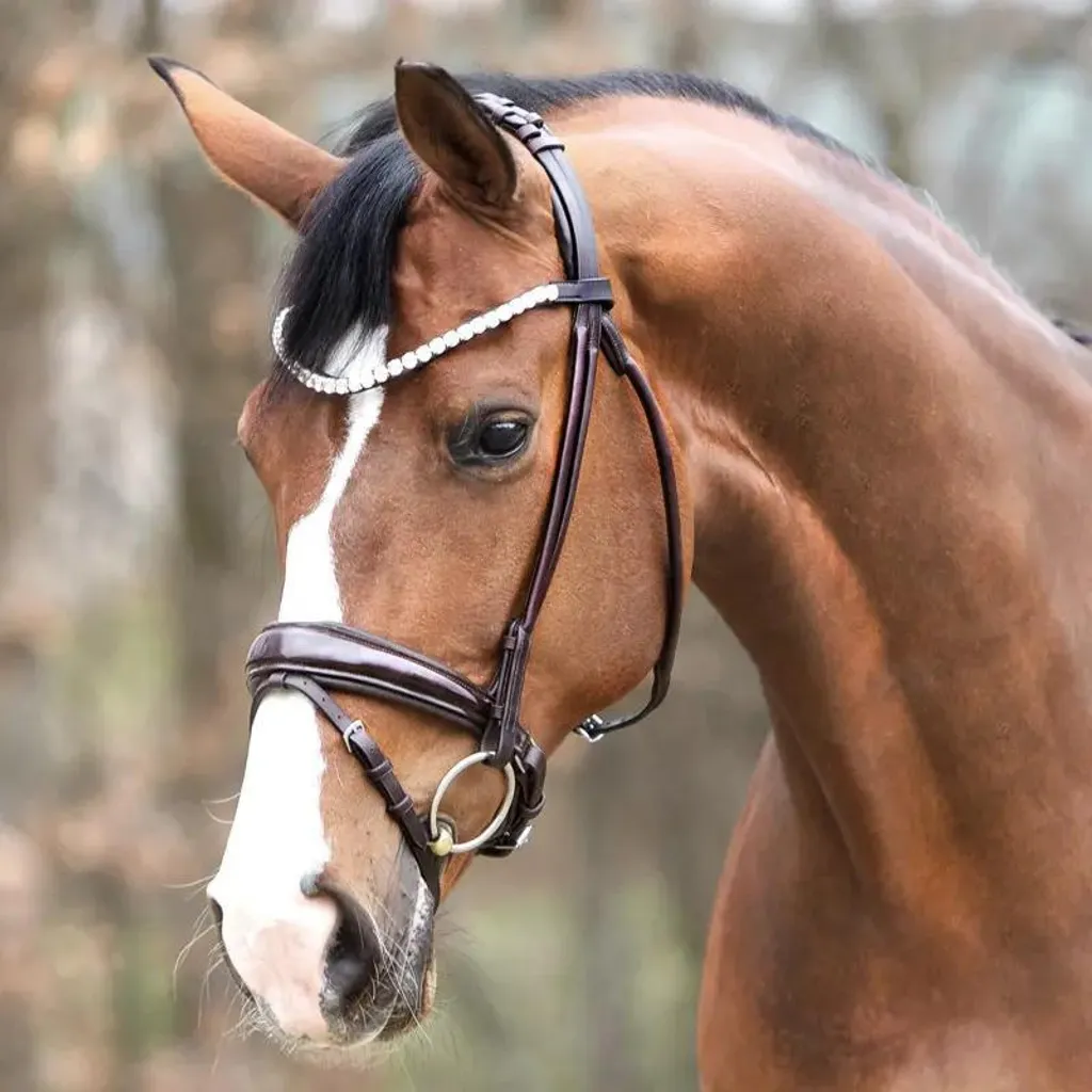 Filet de bridge Kavalkade Florina KavalSH4 en cuir souple pour cheval