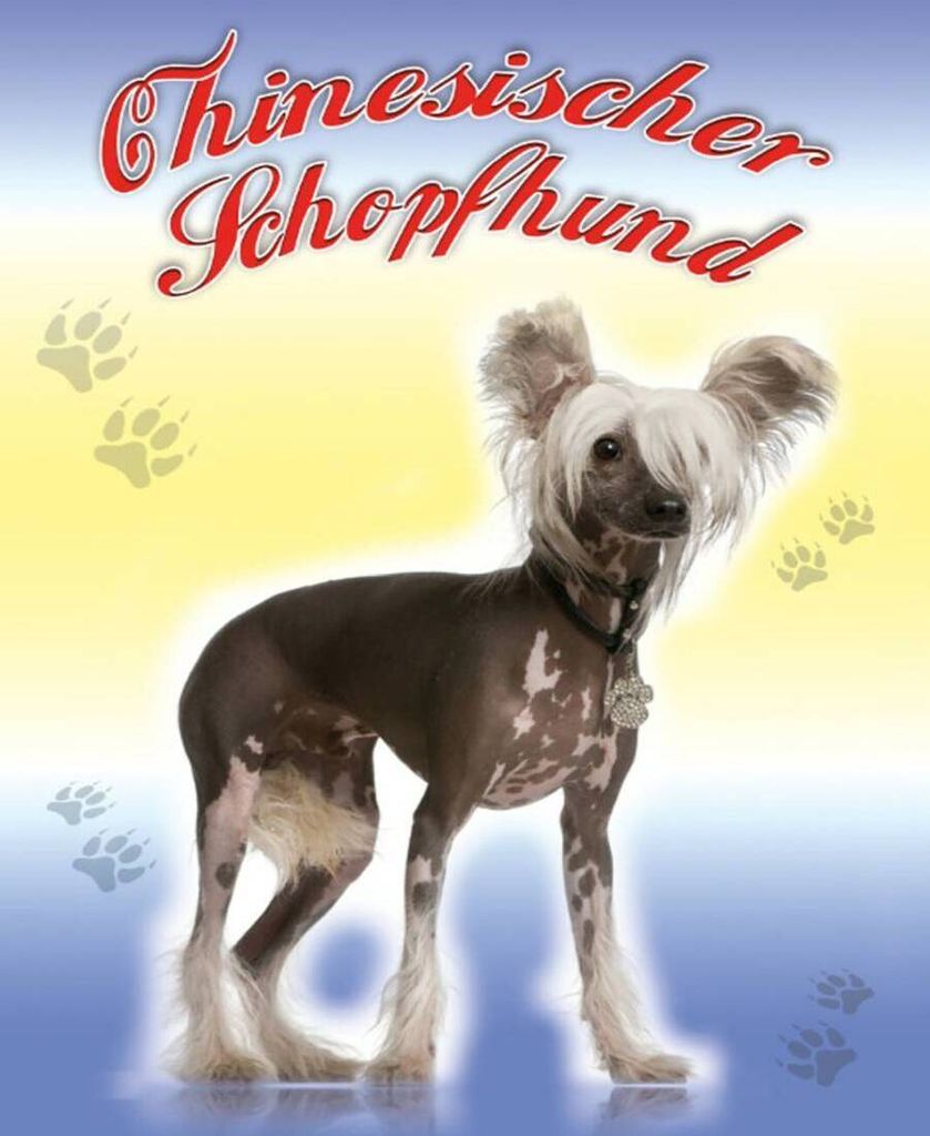 vianmo Holzschild 40x30 cm Hund Chinesischer Schopfhund