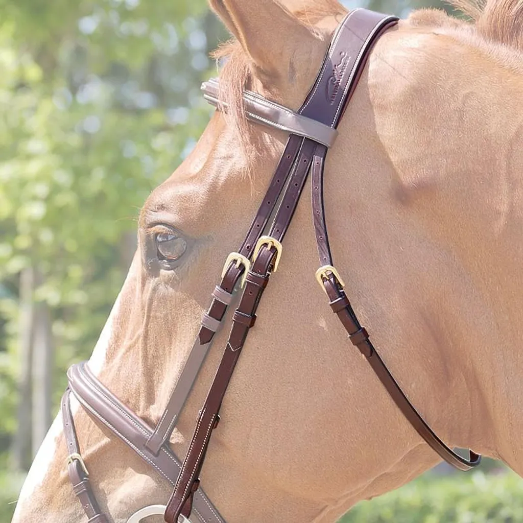 Couverture de cheval Kentucky All Weather 150g avec polaire séchante