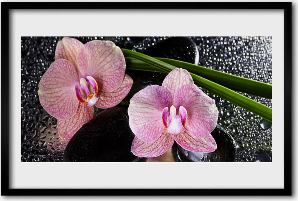 Bild 60x40 MDF-Rahmen Wandkunst Orchid Blumen Orchid Zen
