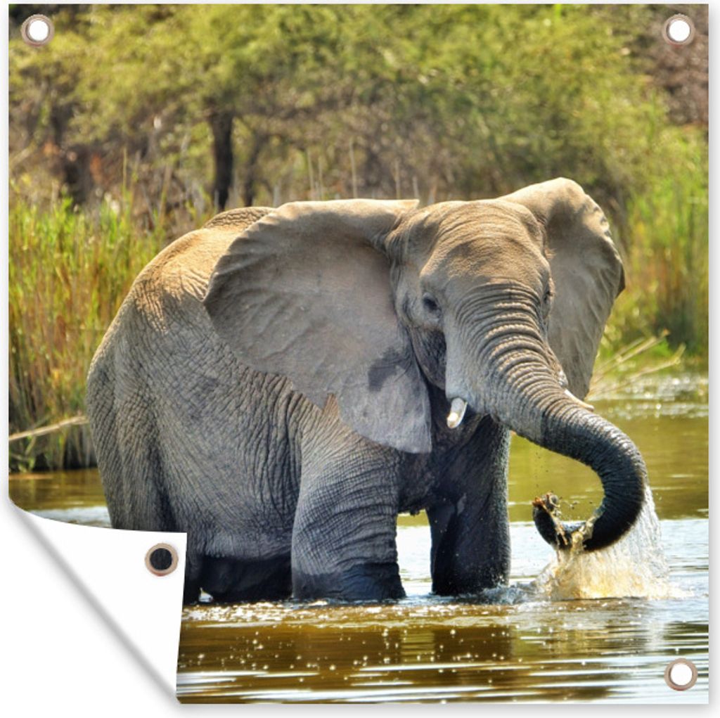 MuchoWow 50x50 cm Outdoor-Poster Gartendeko Sichtschutz Garten Poster für den Garten Badender Elefant