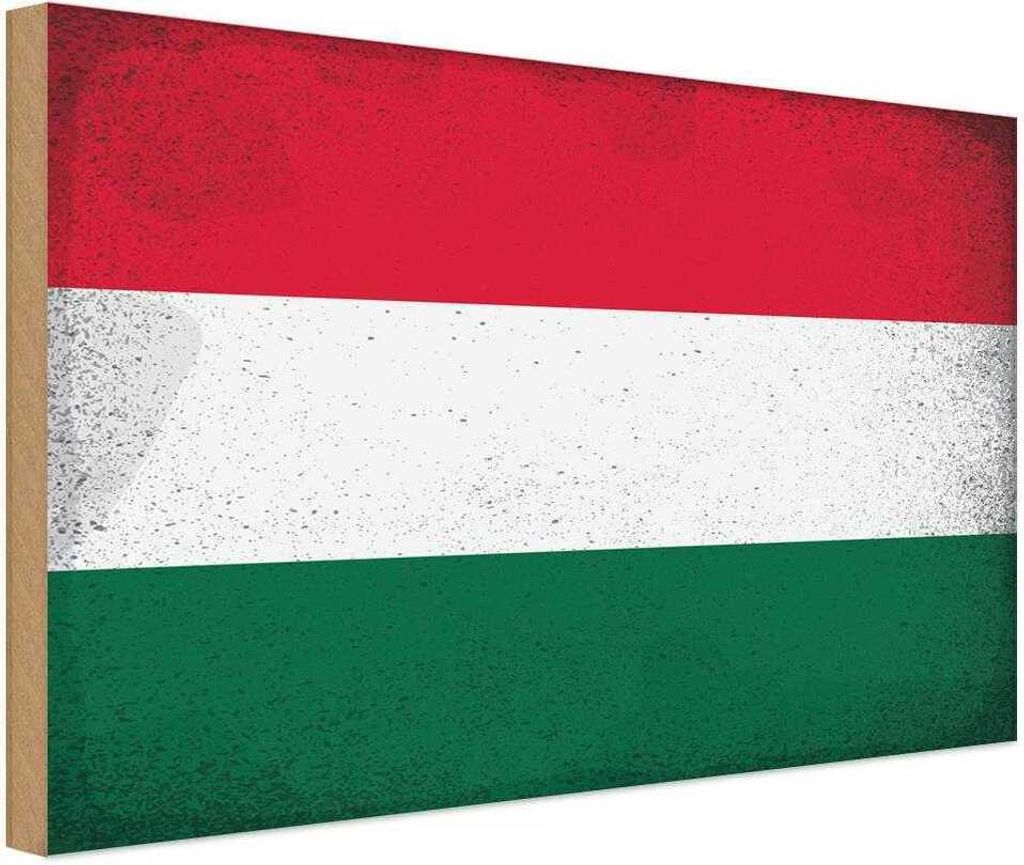 vianmo Holzschild 30x40 cm Ungarn Hungary Flagge Fahne Wappen