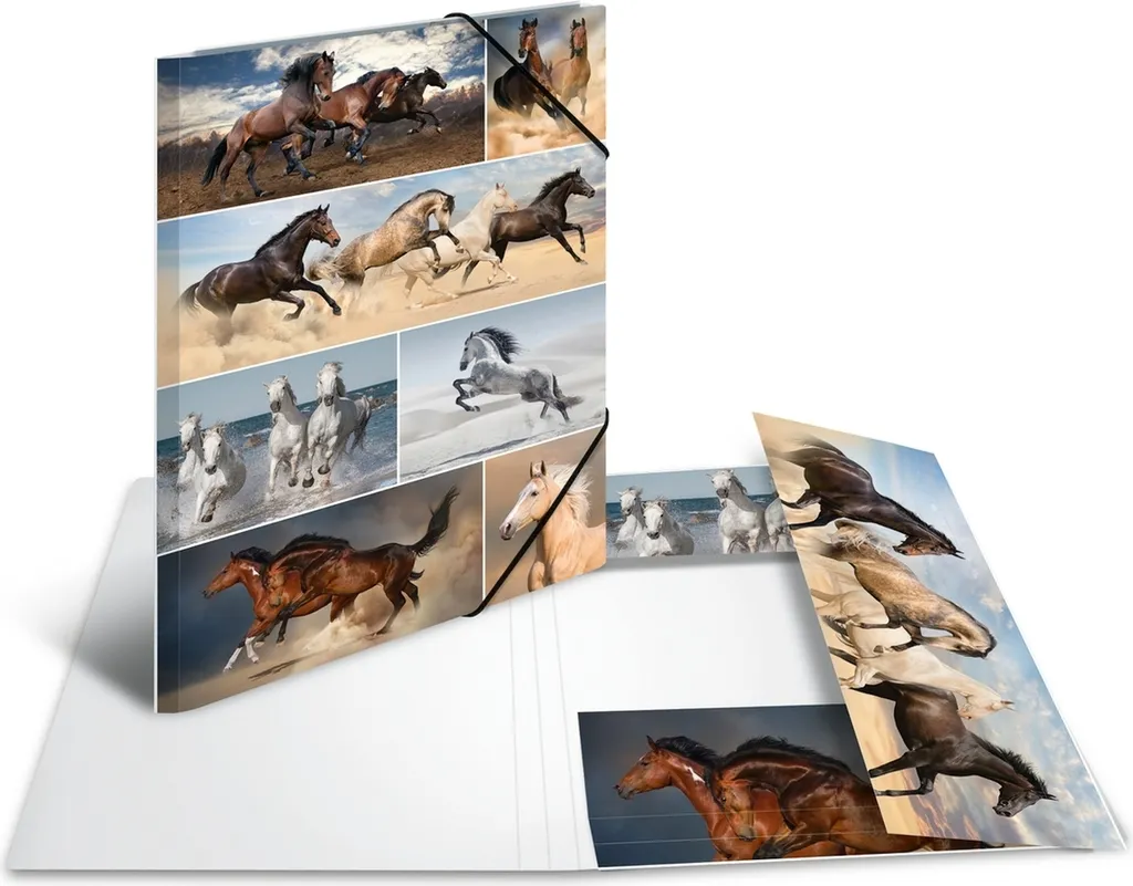 Chemise A3 carton Cheval : fini les plans pliés avec ce pack de 3 unités