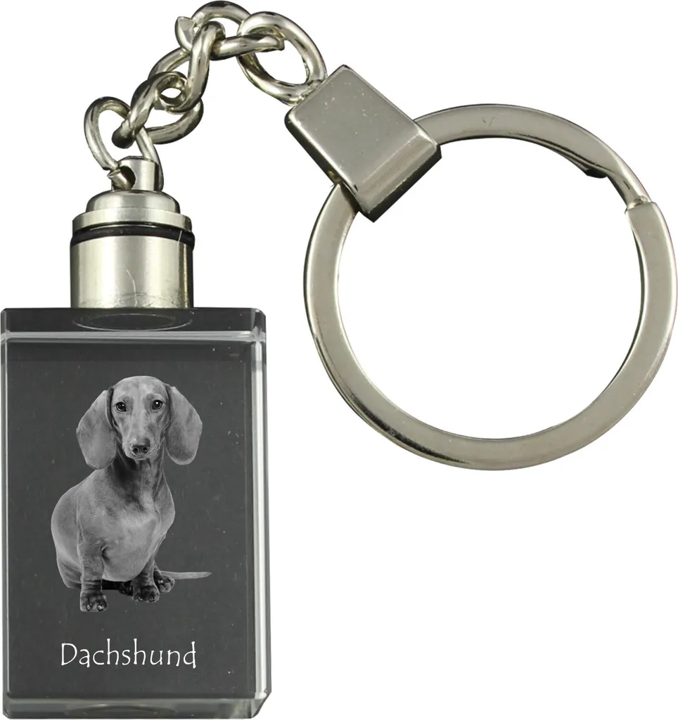 Bassotto a pelo duro - Portachiavi in cristallo con foto del cane, portachiavi luminoso, regalo unico del marchio Art-Dog