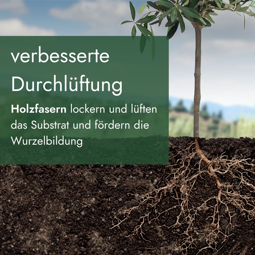 Meine Orangerie Olivenbaum Erde 40 L - Spezial Erde fr