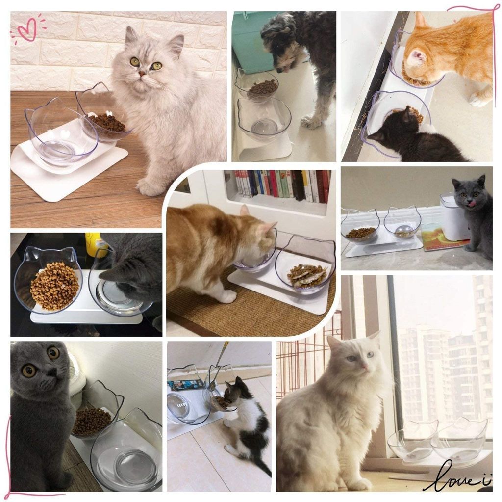 3-in-1 Katzennapf Mit Ständer – Erhöhte Futterschalen, Wasserspender, Neigbar, Für Kleine & Mittelgroße Katzen/Hunde