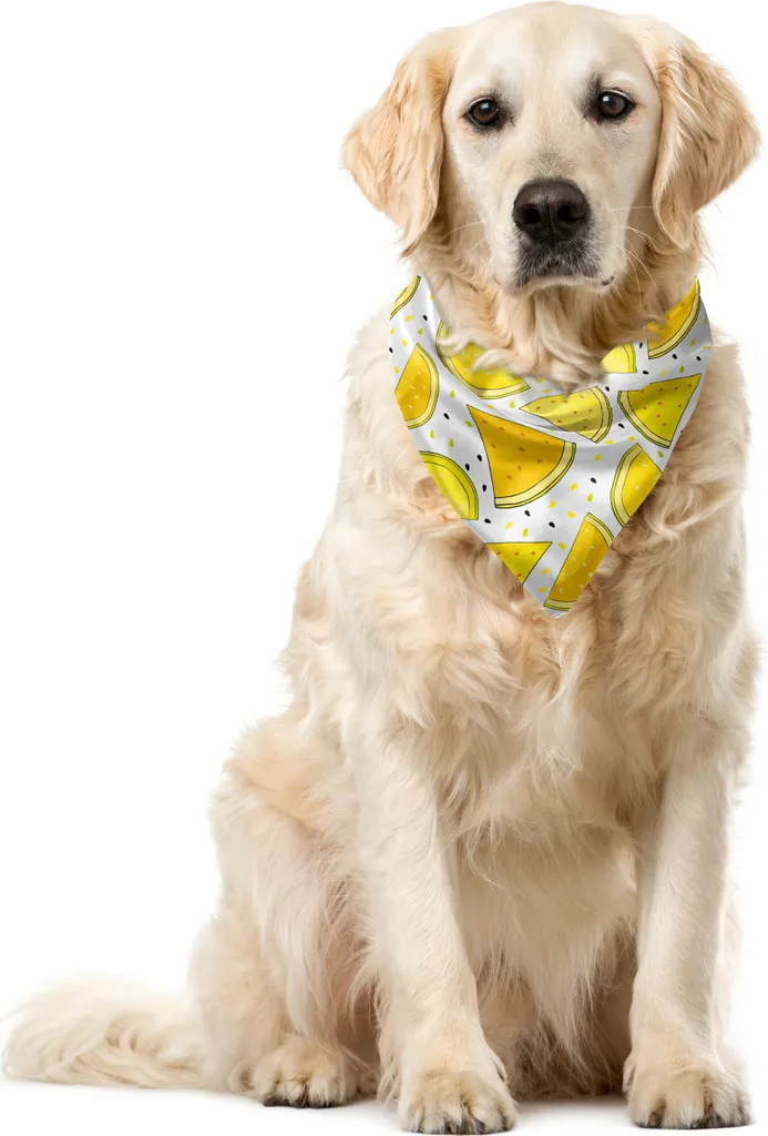 Bandana Gatto e Cane ABAKUHAUS Melone - Morbido Foulard Giallo 40x40
