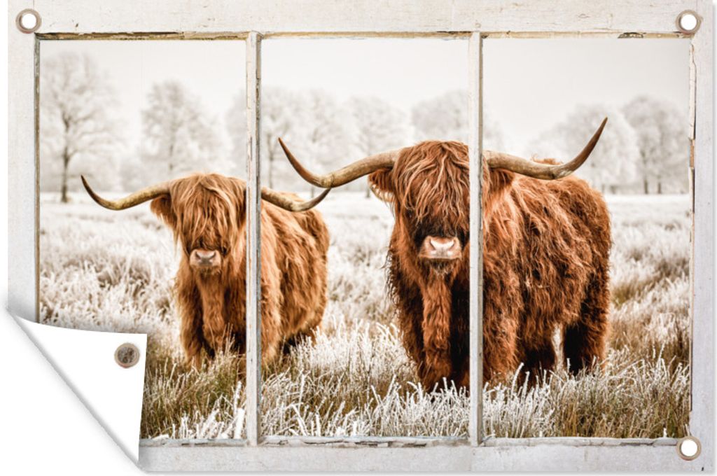 MuchoWow 90x60 cm Outdoor-Poster Gartendeko Sichtschutz Garten Poster für den Garten Scottish Highlander - Ansicht - Kuh
