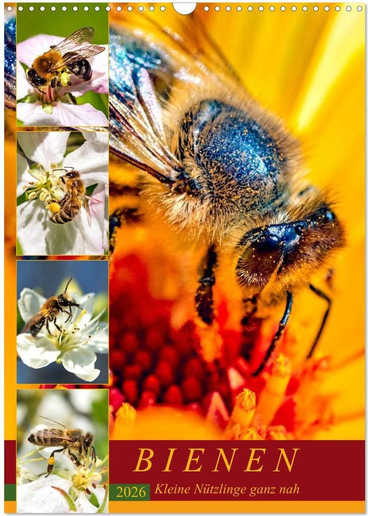 BIENEN - Kleine Nützlinge ganz nah (Wandkalender 2026 DIN A3 hoch), CALVENDO Monatskalender