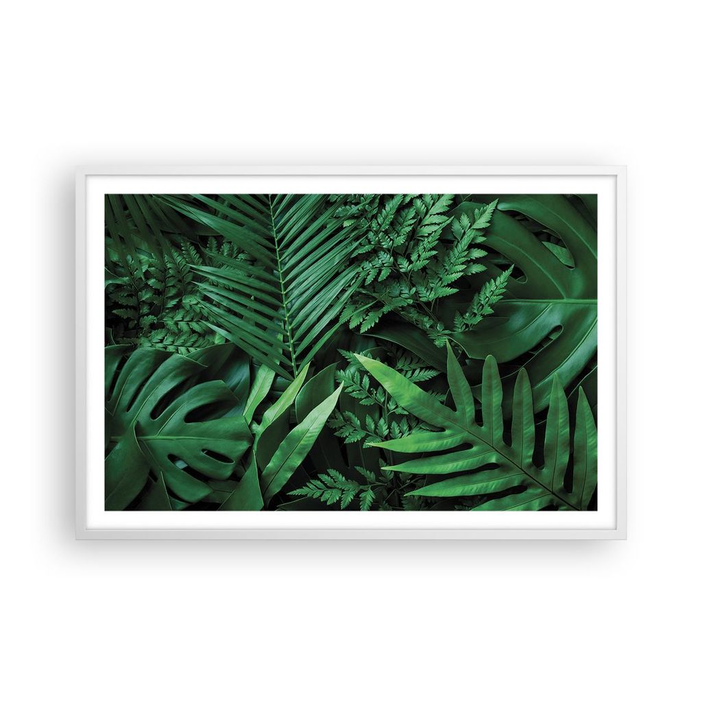 Gerahmtes Poster - Weißer Rahmen - Exotisch Blätter Monstera - 91,5x61 cm - Wand Bild - Wanddeko - Wandbilder - Kunstposter - Wandposter - Bilder...