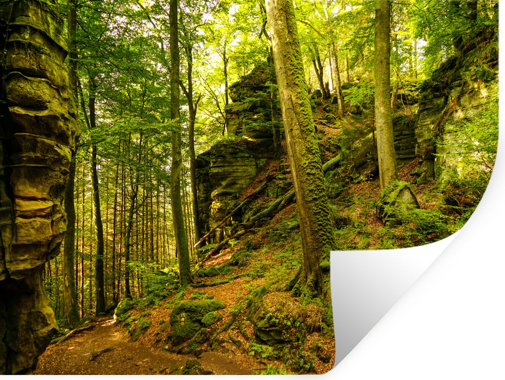 MuchoWow Wandtattoo Wandsticker Wandaufkleber Bäume - Stein - Wald - Natur - Pflanzen 80x60 cm Selbstklebend und Repositionierbar - Faltenfrei