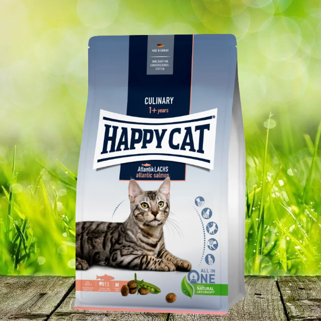 Fini les Digestions Difficiles : Happy Cat Culinary Saumon Adulte 4kg