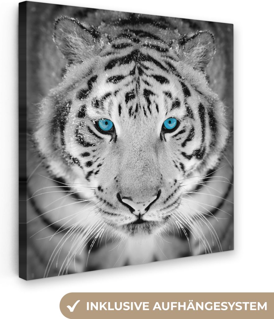 MuchoWow - Leinwandbilder - Tiere - Tiger - Augen - Blau - Schwarz und weiß, Wandbild, Wanddeko Bilder Wohnzimmer, 90x90 cm