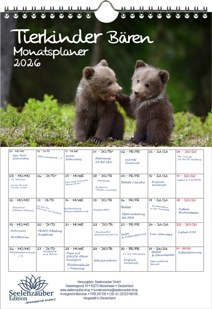 Tierkinder Bären Planer DIN A4 Kalender für 2026 Bären - Seelenzauber