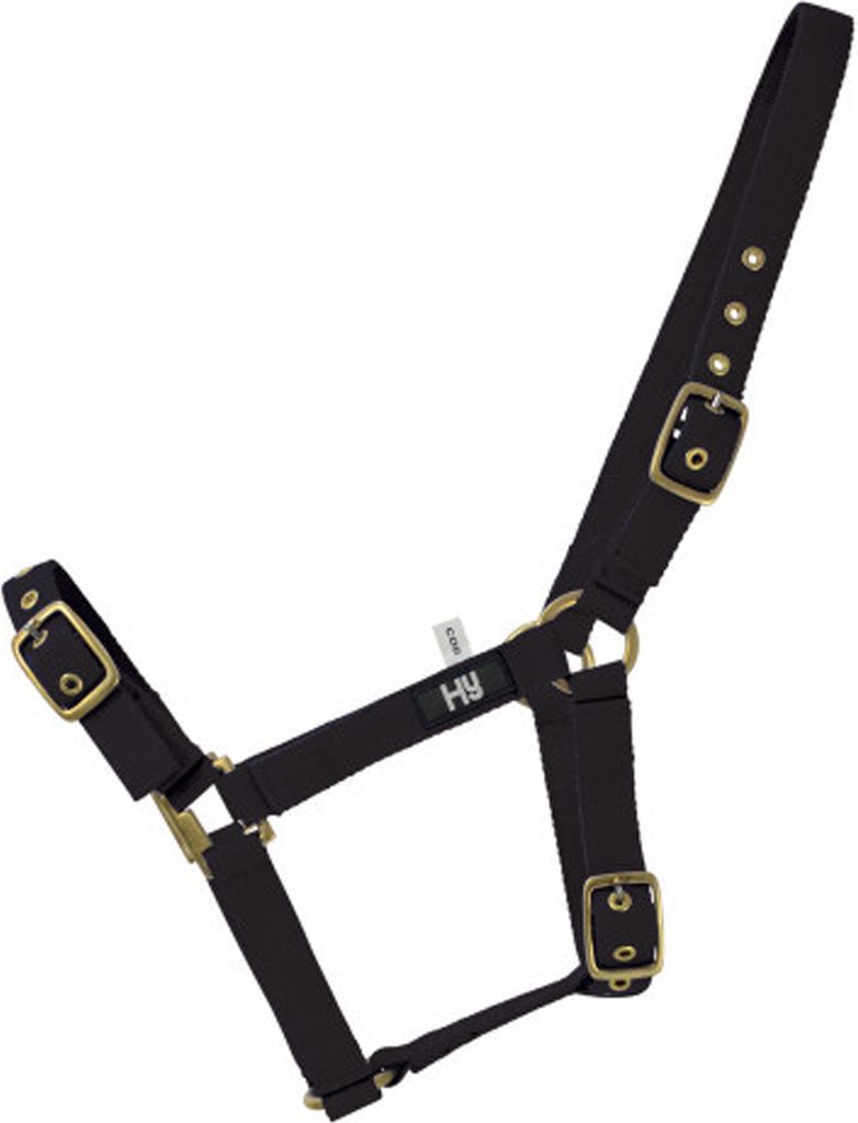 Hy Holly Fully einstellbares Halfter BZ320 (Cob) (Schwarz)