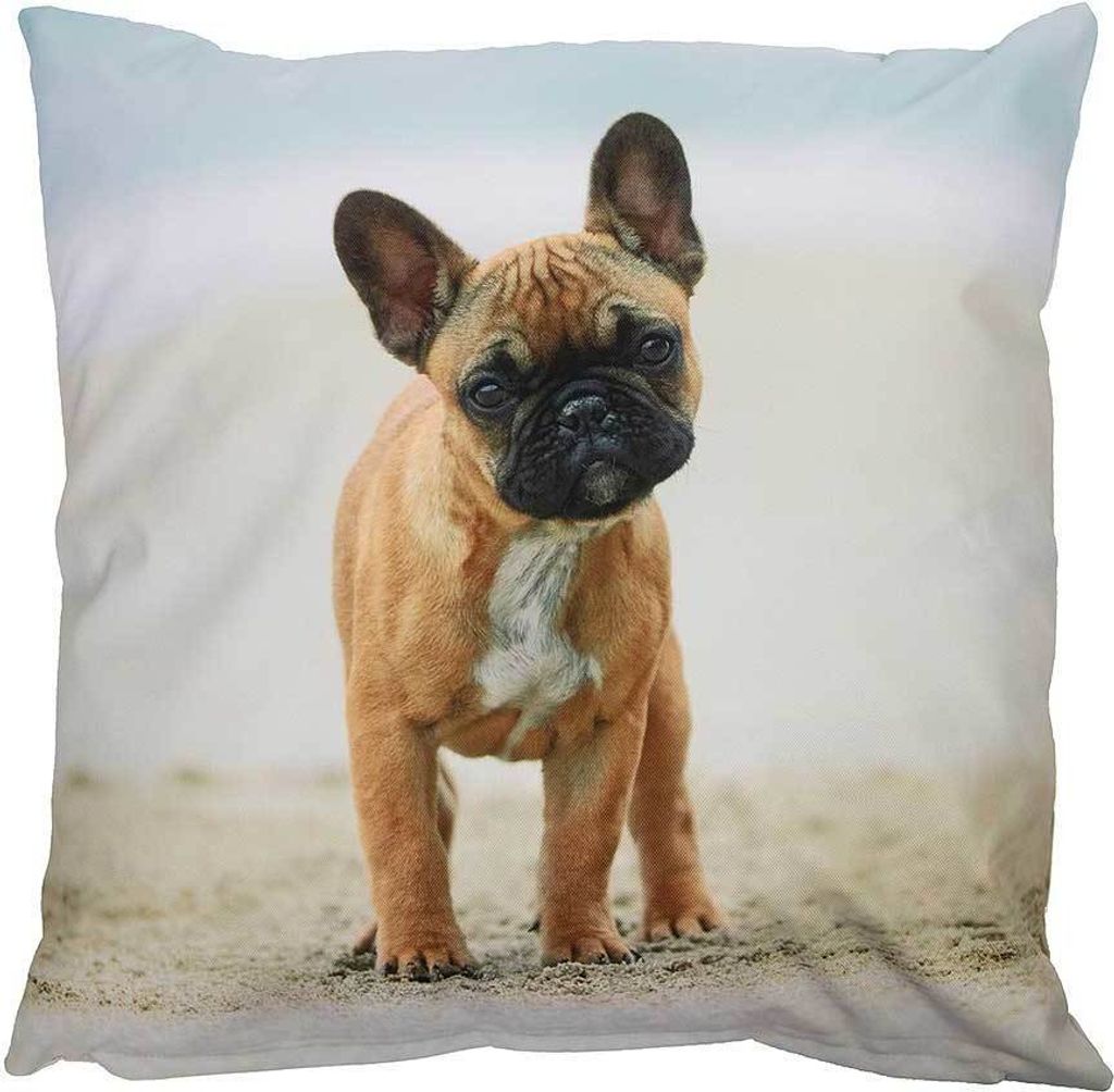 Outdoor Kissen Hundemotiv Dogge Gartenkissen Hund Wasserabweisend : 40 x 40 cm Größe: 40 x 40 cm