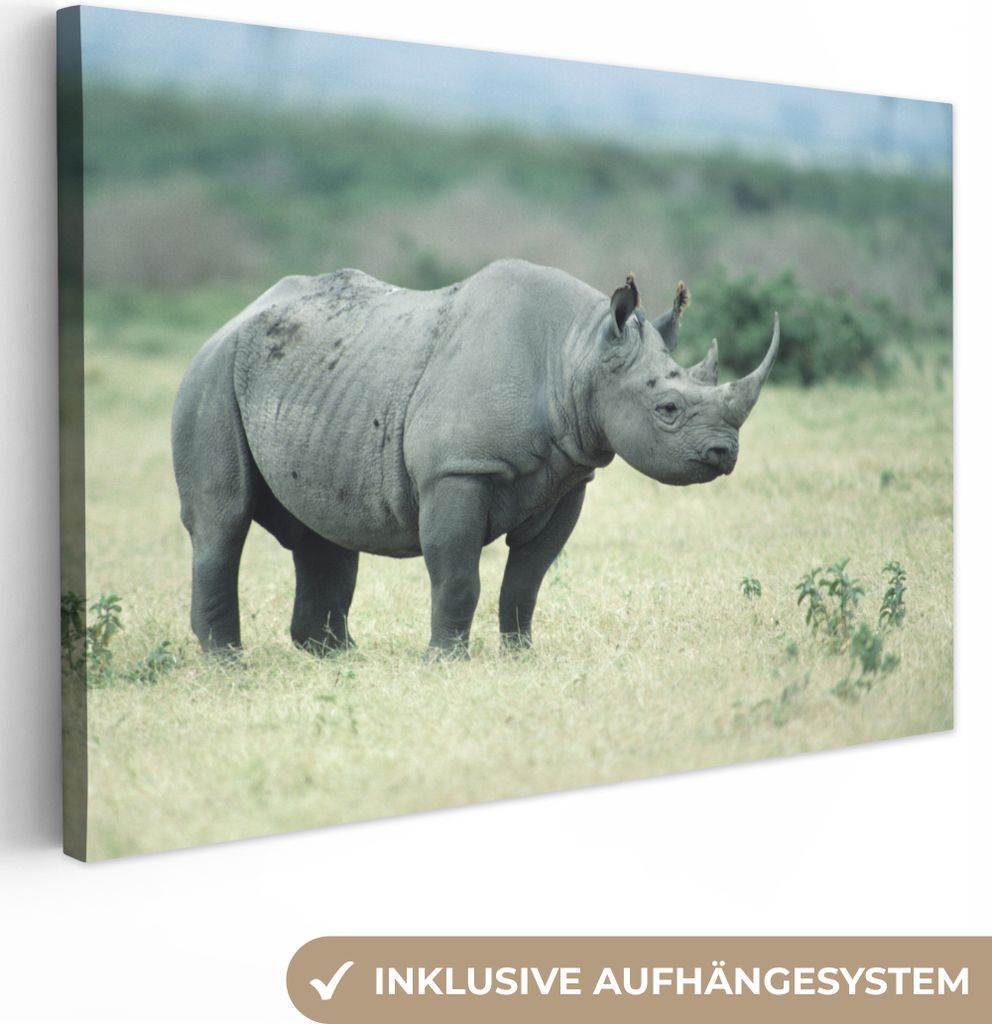 OneMillionCanvasses - Leinwandbilder - 140x90 cm, Nashörner - Afrika - Feld, Wandbilder Kunstdruck Wanddekoration - Foto auf Leinwand - Gemälde...