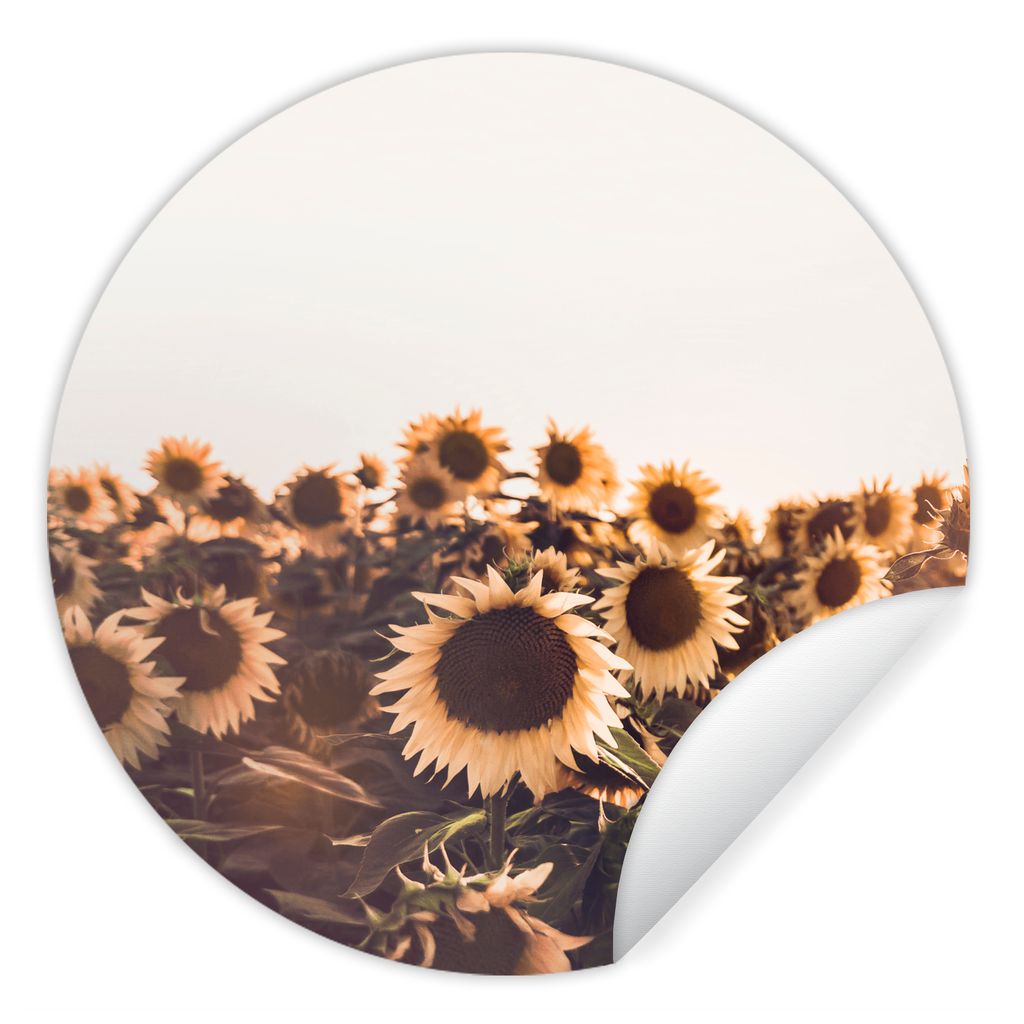 MuchoWow Runde Wandtattoo - Wandsticker Tapete Aufkleber Sonnenblumen - Feld - Sonnenuntergang - Blumen - Gelb Ø 100 cm Selbstklebend und Reposi...