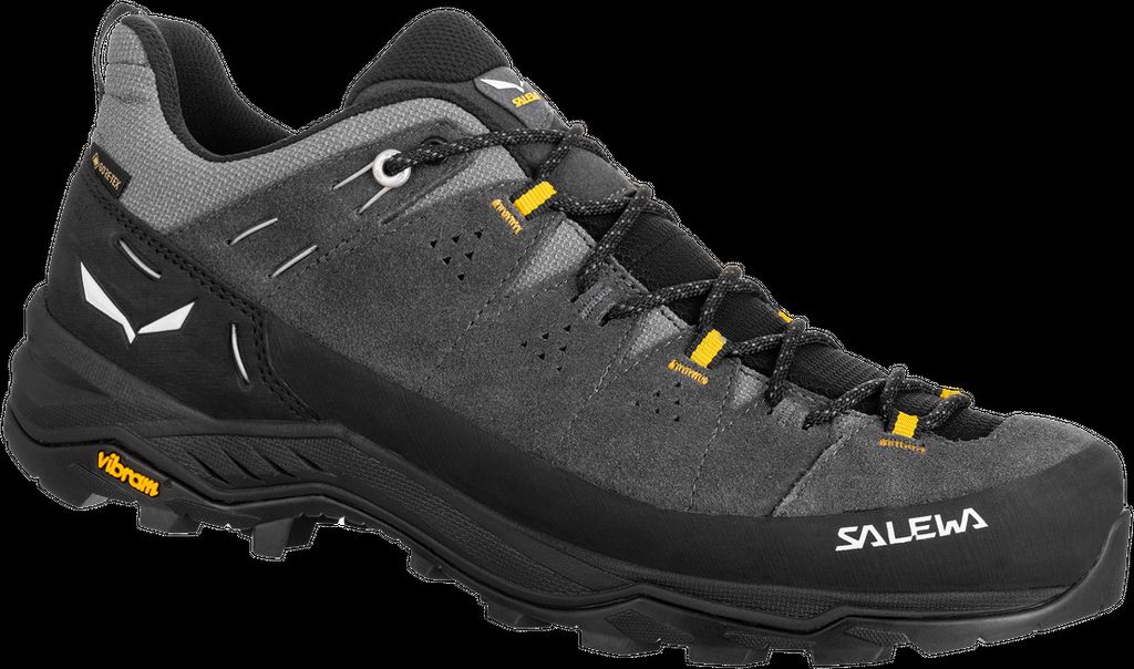 Salewa Herren Alp Trainer 2 GTX Wanderhalbschuh onyx/black 43